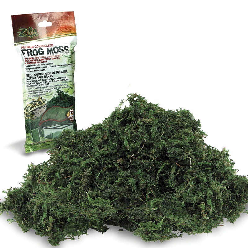 Premium Compressed Frog Moss