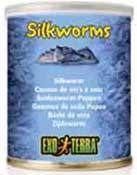 Exo-Terra Canned Silkworms