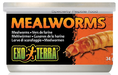 Exo Terra Canned Mealworms 1.2 oz - Click Image to Close