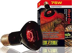 Exo Terra Heat Glo Infrared Heat Lamps