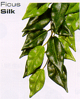 Exo Terra Jungle Plants Silk Ficus