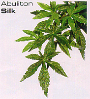 Exo Terra Jungle Plants Silk Plant Abuliton