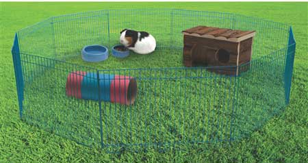 Living World Critter Playtime Pen - Click Image to Close