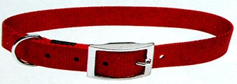 Single Ply Nylon Dog Collar with Buckle (Red)
