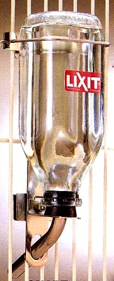 Lixit 32 oz. Heavy Duty Glass Water Bottle
