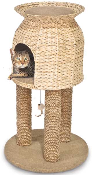 Scratch & Sleep Tower