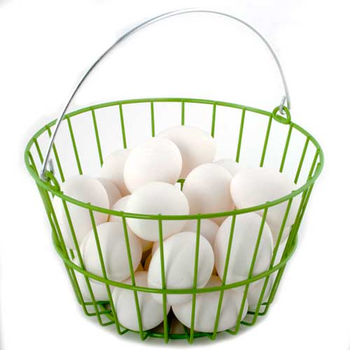 ChickenWare Egg Basket - Click Image to Close