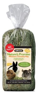 Timothy Hay