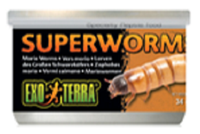 Exo Terra Super Worms 1.1oz