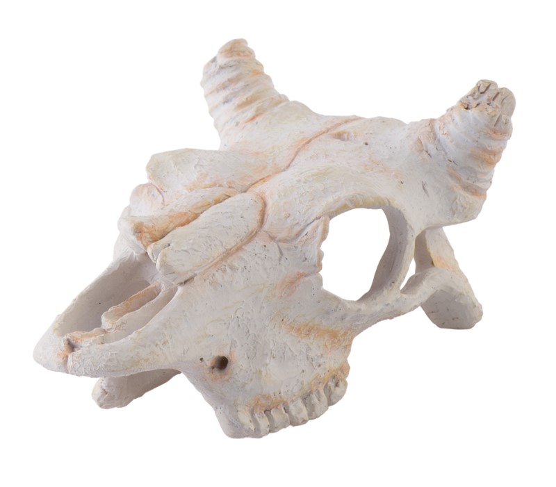 Exo Terra Buffalo Skull Hideout Small - Click Image to Close