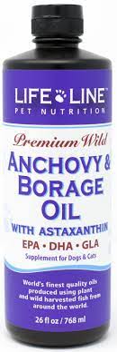 LifeLine Wild Anchovy & Borage Oil 8.5z