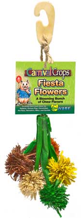 Carnival Crops Fiesta Flowers