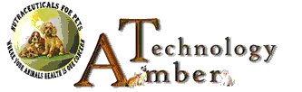 Amber Technology