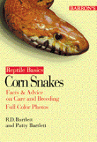 Corn Snakes Guide