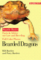 Bearded Dragons