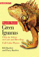 Green Iguanas Guide