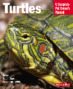 Turtle Manual