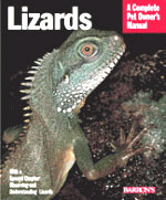 Lizards - Click Image to Close