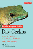 Day Gekos Guide