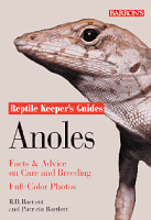 Anoles Guide