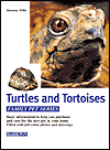 Turtles and Tortoises Family Pet