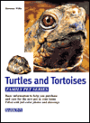 Turtles and Tortoises Family Pet - Click Image to Close