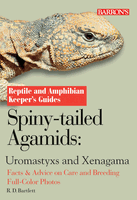 Spiny-tailed Agamids, Uromastyx and Xenagamas Guide - Click Image to Close