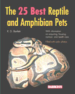 The 25 Best reptile and Amphibian Pets