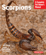 Scorpions Manual