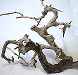 Sand Blasted Grape Wood Branches - Click Image to Close