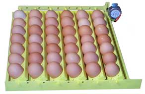 Hova-Bator Automatic Egg Turner with Chicken Egg Racks