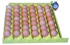 Hova-Bator Automatic Egg Turner with Chicken Egg Racks - Click Image to Close