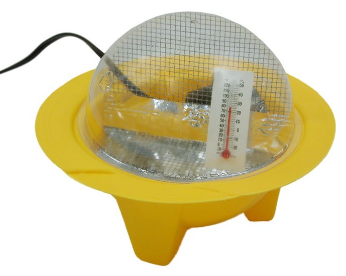 Chick-Bator Mini Incubator - Click Image to Close