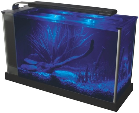 Fluval Spec V (5 gal.) Black