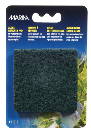 Marina Algae Remover Pad