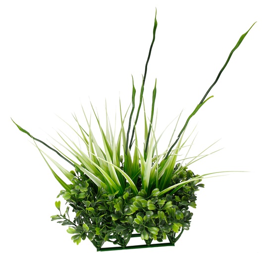 Fluval Chi Boxwood & Tall Grass Ornament - Click Image to Close