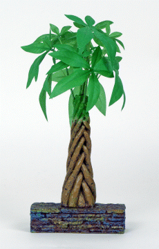 Marina Betta Kit Money Tree - Click Image to Close