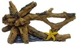 Driftwood with Starfish - Click Image to Close