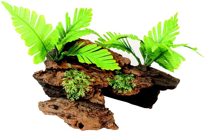 Malaysian Decorative Driftwood with Plants, Medium - Click Image to Close