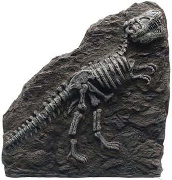 Marina Decorative Fossil, T-Rex