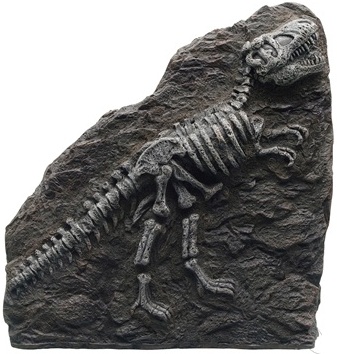 Marina Decorative Fossil, T-Rex - Click Image to Close