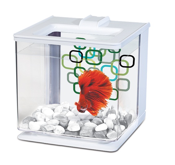 Betta EZ Care Aquarium White