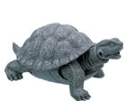 Walking Tortoise - Click Image to Close