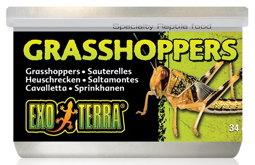 Exo Terra Canned Grasshoppers - Click Image to Close