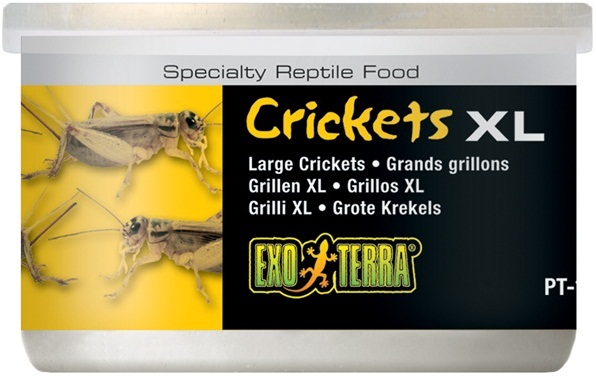 Exo Terra Canned Crickets 1.2 oz