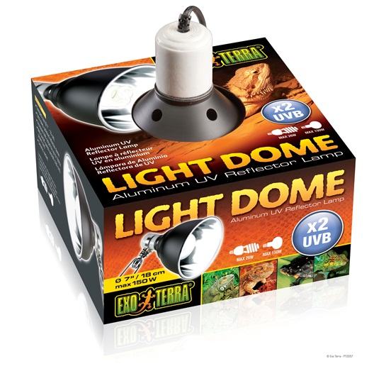 Light Dome 7”