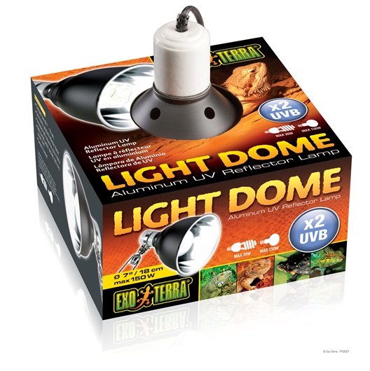 Mirror Light Dome 7 inch