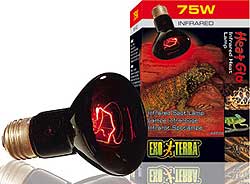 Exo Terra Heat Glo Infrared Heat Lamps - Click Image to Close