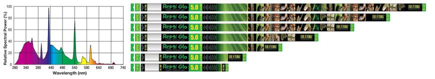 Exo Terra Repti Glo 5.0 Bulbs - Click Image to Close