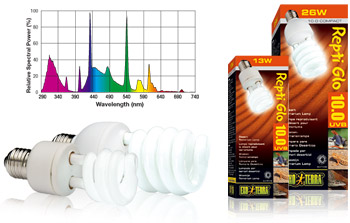 Exo Terra Repti Glo 150 UVB Compact Bulbs